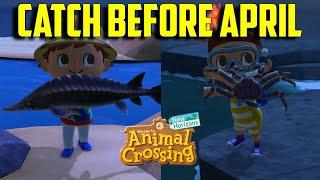 Catch Before April | ACNH March Fish | ACNH March Bugs | ACNH March Sea Creatures | March Fish ACNH