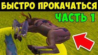 КАК БЫСТРО ПРОКАЧАТЬСЯ до 200 УРОВНЯ в WILDCRAFT ЧАСТЬ 1