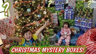 BIGGEST CHRISTMAS HAUL OF MYSTERY BOX PRESENTS! SANTA BROUGHT ETHANS FAVORITE SUPRISES! Part 2