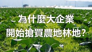 為什麼大企業開始搶買農地林地？【3分鐘小幫手】