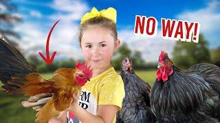 It’s chicken SHOW TIME! | Junior Poultry Show with Eleanor!