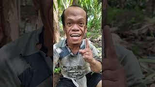 Survival skills First aid for snake bites  #campping
