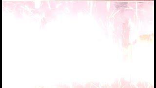 Interesting Product of Energetic Hydrino Reaction