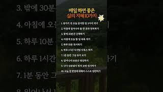 매일 하면 좋은 삶의 지혜 10가지 #인생명언 #좋은글 #긍정적마인드