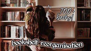 Big Bookshelf Reorganisation For 2022! 700+ Books