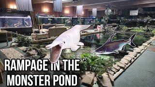 Chaos Erupts in the 58,000g Monster Pond, new Adoptables available & more