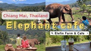 【Travel vlog】Super wonderful ELEPHANT cafe with nice mountain view / Chiang Mai / Thailand