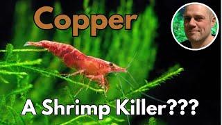 Is Copper Toxic To Shirmp? - Surprising Facts About Copper and Shrimp