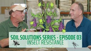 Soil Solutions Series | Ep. 03 | Insect Resistance #regenerativeagriculture #planthealth #soilhealth