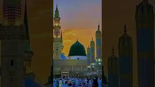 SR SHOAIB RAZA @#0786 MADINA SHARIF TRAINING VIDEO