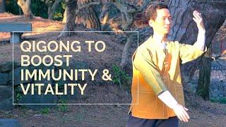 Qigong Routine To Boost Immunity And Vitality