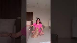 Saying My Dog’s Fav Words #shorts #challenge #dog