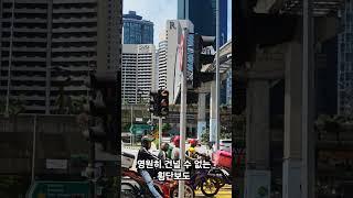10분 만에 길건너기 성공