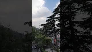 +919781112751 Amritsar to Dalhousie Dharamshala Shimla Manali Himachal Pradesh Cab Taxi Service best