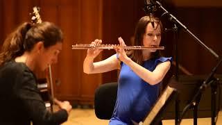 J. S. Bach, Sonata BWV 1020 (1), played by Duo Diversitas