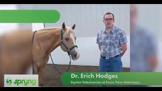 Dr. Erich Hodges of Swiss Farm Veterinary discusses his use of Spryng™ with OsteoCushion™ Technology