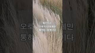 탐진치와 육바라밀의 관계
