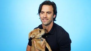 Milo Ventimiglia Plays With Puppies While Answering Fan Questions