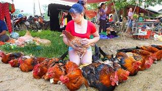 TIMELAPSE : Harvesting Chicken Rooster, Ducks, Quails, Chicken Eggs, Duck Eggs Goes To Market Sell