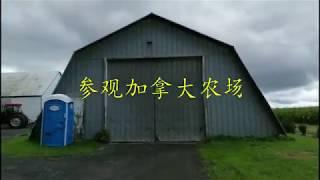 参观加拿大农场