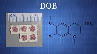 DOB: What We Know