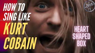 How To Sing Like Kurt Cobain Heart Shaped Box Isolated Vocals
