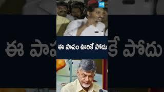 ఈ పాపం ఊరికే పోదు #YSJagan #Chandrababu #tirumalaincident #PawanKalyan  @SakshiTV