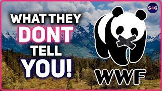 Hey World Wildlife Fund, Why Don't You Tell the Truth? | Switch4Good