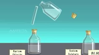 Double Displacement Reaction - MeitY OLabs