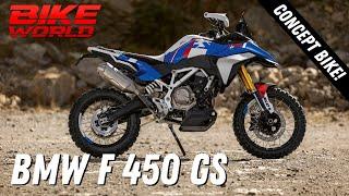 New Concept BMW F 450 GS | Eicma First Look