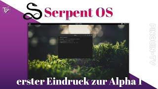 Serpent OS - erster Eindruck Alpha 1   #linux