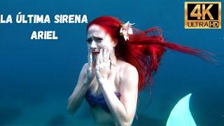 La última sirena Ariel ( La Sirenitta )