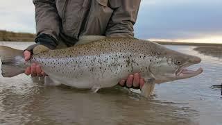 Vagabond Fly: Fly Fishing the Rio Grande (Tierra del Fuego) for SeaTrout. Grande Central Station