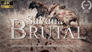 SAVANA SELVAGEM | PREDADORES em LUTA pela SOBREVIVÊNCIA | DOCUMENTÁRIO VIDA SELVAGEM INÉDITO