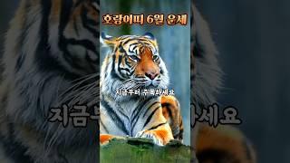 6월달 호랑이띠 운세 #2025 #6월 #띠별운세 #운세 #호랑이띠 #호랑이띠운세 #사주