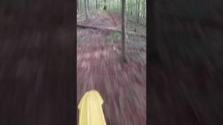 Dodging trees on single track! #dunlop #evs #riskracingmoto #ogio #gopro #motocross