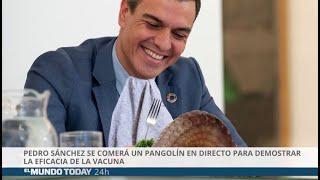 Pedro Sánchez se comerá un pangolín para demostrar la eficacia de la vacuna | El Mundo Today 24H