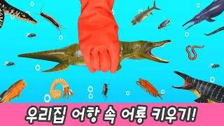 한국어ㅣ우리집 파티에 어룡 초대하기, 고대생물 이름 외우기, 어린이 공룡만화, 컬렉타ㅣ꼬꼬스토이