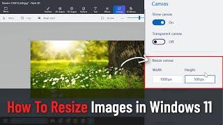 How To Resize Images in Windows 11 (Tutorial)