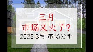 赵融/Rebecca 三月市场又火了？！｜圣地亚哥市场更新 | 南加州房产｜圣地亚哥房产｜