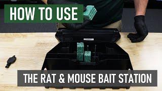 How to Use a Rat & Mouse Bait Station | DIY Rodent Control