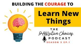 Building the Courage to Learn New Things: How to Approach Stressful Transitions and New Seasons