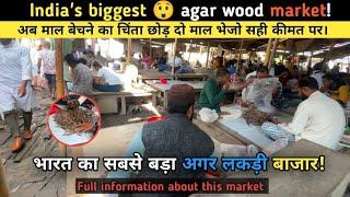 India ka sabse bada agar wood market / local agar wood market / indian oudh #indianoudh 9365569316