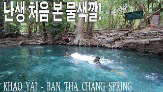 현지인도 잘 모르는 숨겨진 명소 코끼리 수영장? 카오야이 여행 Ban tha Chang spring KHAO YAI