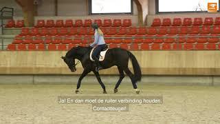KNHS Tips van de Top - Ontspanning tijdens het rijden