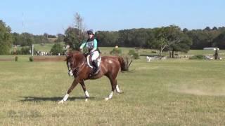 Audrey Green & Strategic Alliance Texas Rose Fall Horse Trials 2016