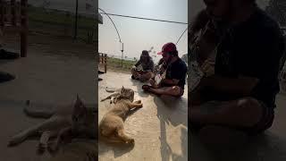 Working on new tune with Rajip, the dog, the cat and the rooster 