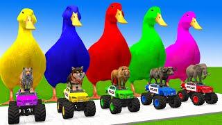 5 Giant Duck Cartoon,Cow,Mammoth,Dog,Cat,Lion,Tiger Paint Wild Animals Crossing Fountain Animation