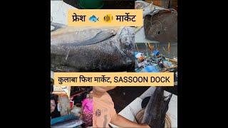 Sassoon dock fish market | ससून डॉक मच्छी मार्केट | कुलाबा #fishcutting  #sassoondock ​ #fishmarket