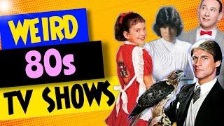 10 Bizarre '80s TV Shows That Will Blow Your Mind! | Retro Renaissance